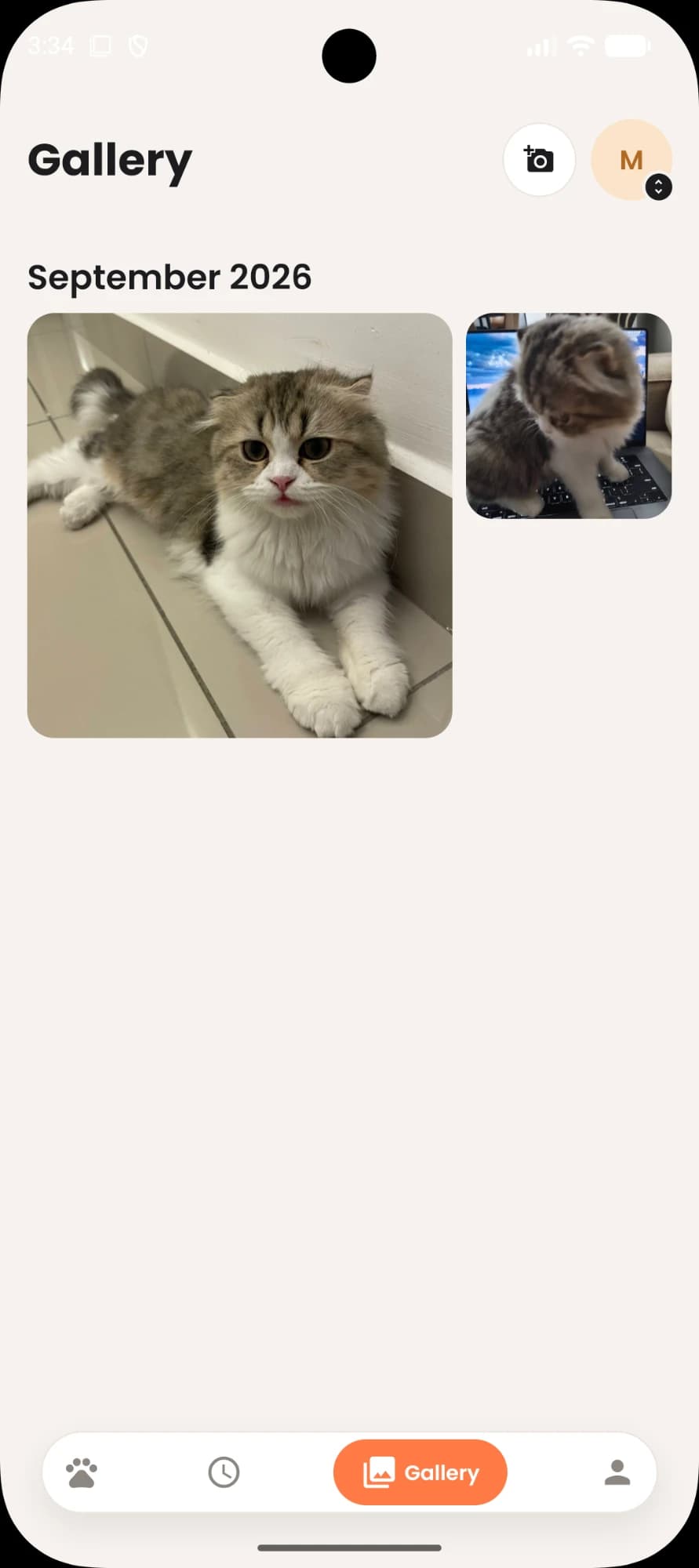 Kibblr gallery: cat photos grouped by month
